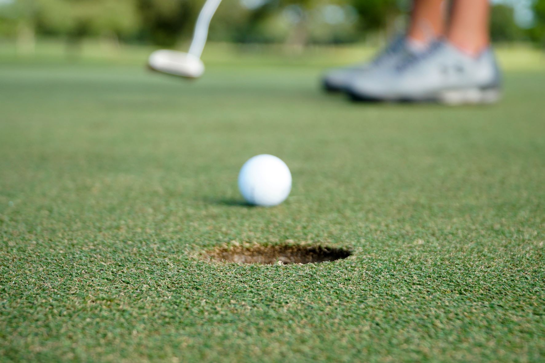 All Seasons Golf Center - Photo 2